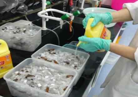 新人進(jìn)實(shí)驗(yàn)室，為什么先刷瓶子？